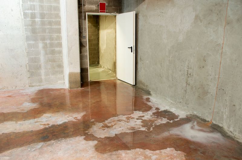 Foundation Leak Repair in Fort Collins, CO