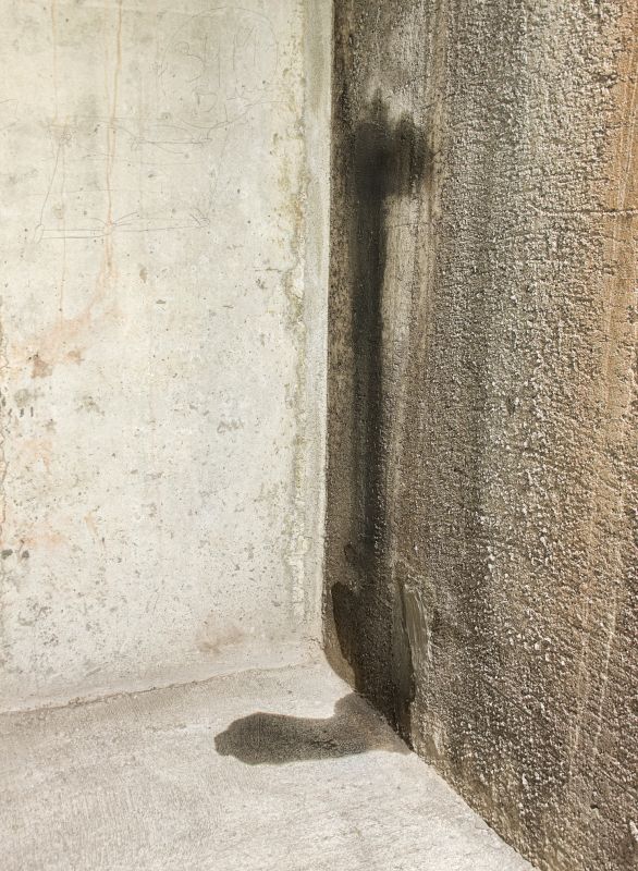 Leaking Basement Repair in Grand Rapids, MI